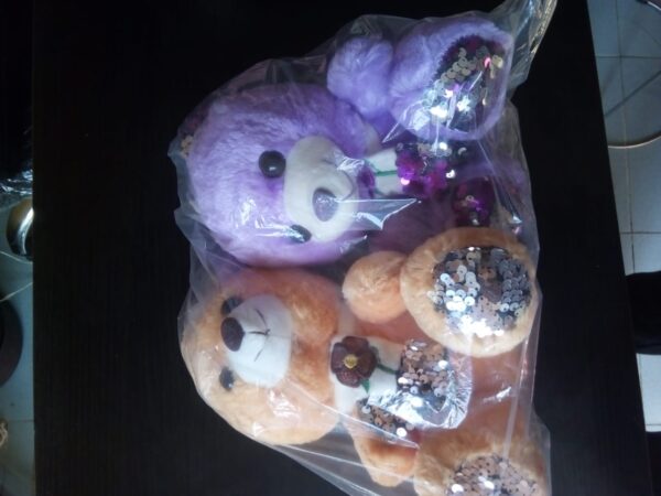 Plush Teddy Bear 2-in-1 - Image 2