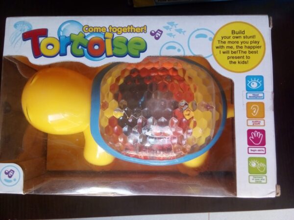 Lightening Tortoise Toy - Image 2