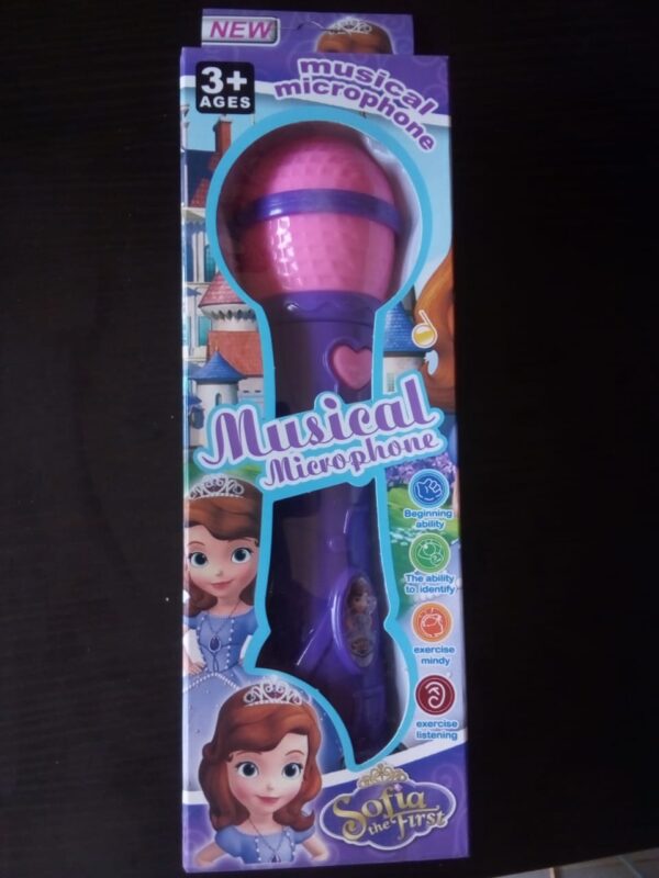 Children's Musical Microphone - Image 3