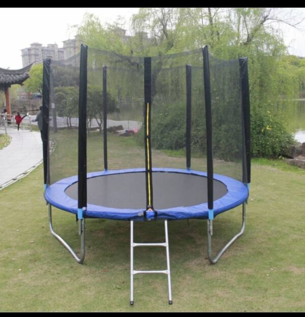 Trampoline with safety Enclosure net & ladder 8FT