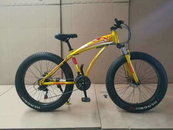 Fat Tyre Land Cruiser Outdoor Sports Bicycle - Image 2