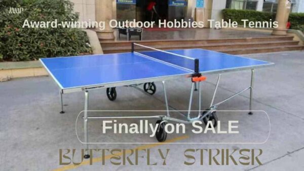 Butterfly Striker Award Winning Outdoor Table Tennis - Image 2